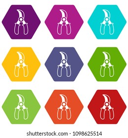 Grape scissors icons 9 set coloful isolated on white for web