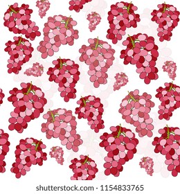 Grape seamless pattern with bunches of ripe pink grapes . Hand drawing vector illustration.  Design element for seasonal backgrounds, paper wrapper and cards. 

