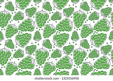 Grape seamless pattern. Hand drawn fresh fruit. Vector sketch background. Color doodle wallpaper. Green berry print