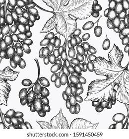 Grape seamless pattern. Hand drawn vector grape berry illustration. Engraved style retro botanical background.