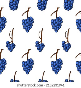 Grape seamless pattern on white background 