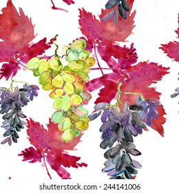 Grape seamless pattern. Seamless vector background.
