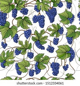 Grape seamless pattern for your design.Vector illustration.EPS10