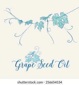 Grape seed oil label with painted brunch of grape and text. Vector illustration.