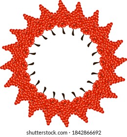 the grape seed pattern forms a circle on a white isolated background