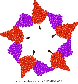 the grape seed pattern forms a circle on a white isolated background