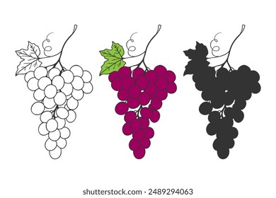 Grape set bunches of grapes in outline, colors and dark silhouette style. 
