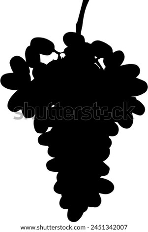 Grape silhouette vector illustration on white background
