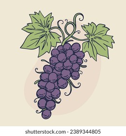 Grape sketch. hand drawn grape outline illustration. Grape vector drawing. Grapes isolated on background. vector illustration. line art drawing. Grapes leaf on branches.