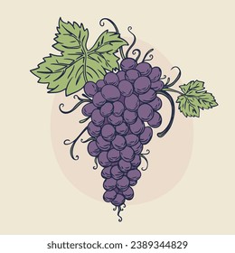 Esbozo de uva. ilustración del esquema de uva dibujada a mano. Dibujo vectorial de uva. Uvas aisladas en el fondo. ilustración vectorial. dibujo de líneas. Las uvas se esparcen en ramas.