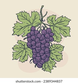 Esbozo de uva. ilustración del esquema de uva dibujada a mano. Dibujo vectorial de uva. Uvas aisladas en el fondo. ilustración vectorial. dibujo de líneas. Las uvas se esparcen en ramas.