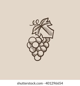 Grape sketch icon.