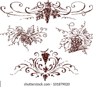 grape sketches