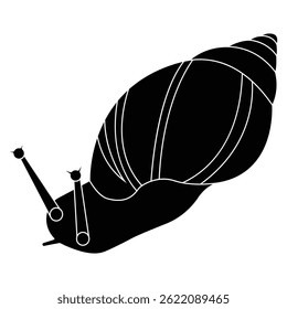 Grape snail funny logo , Isolated grape snai illustration out line vector on a white background