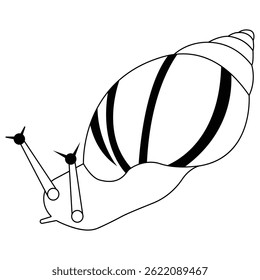 Grape snail funny logo out line vector on a white background