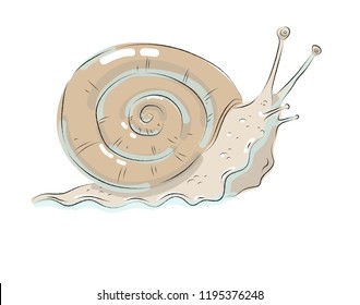 grape snail with horns