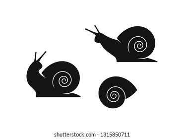 Grape snail. Isolated snails on white background