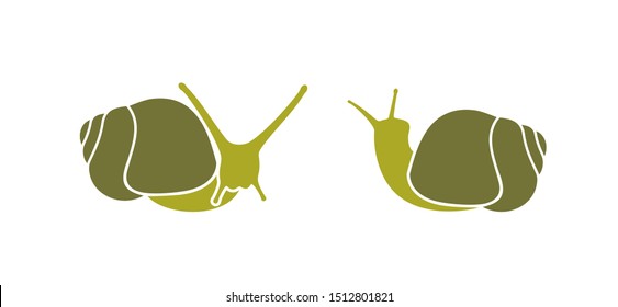 Grape snail. Isolated snails on white background