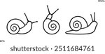 Grape snail outline. Isolated grape snail on white background
