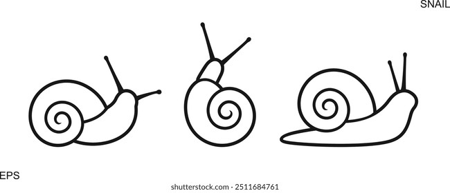 Grape snail outline. Isolated grape snail on white background