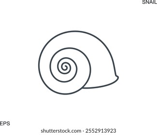 Grape snail shell. Isolated snail shell on white background