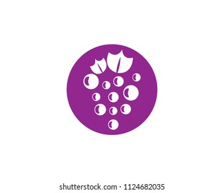 Grape symbol illustration design