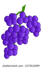 The grape symbol with purple berries