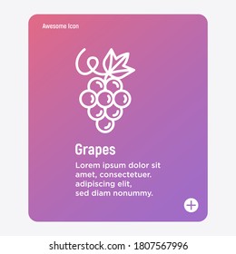 Grape thin line icon. Healthy organic food. Winemaking logo. Vector illustration.