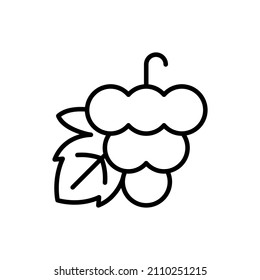 Dünne Grablinie-Symbol. Gesunde Bio-Lebensmittel. Winemaking Logo. Vektorgrafik.