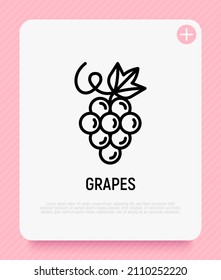 Grape thin line icon. Healthy organic food. Winemaking logo. Vector illustration.