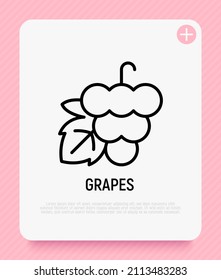 Grape thin line icon. Healthy organic food. Winemaking logo. Vector illustration.