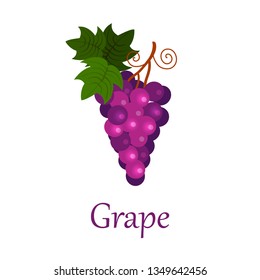Grape with title isolated on white background. Vector illustration