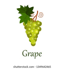 Grape with title isolated on white background. Vector illustration