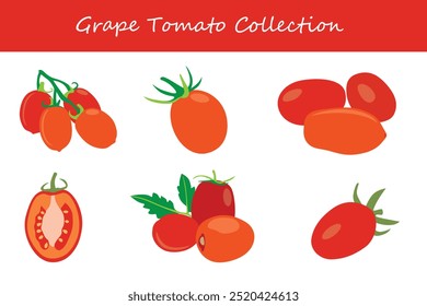 coleção de tomate de uva em diferentes poses. Ilustração vetorial.