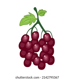 uva con ilustración de caricatura de fondo transparente. Artículo adecuado para alimentos y salud