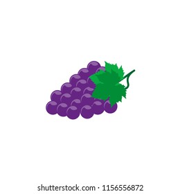 Grape vactor illustration on white background.