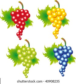 Grape vector