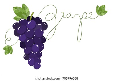 grape vector
