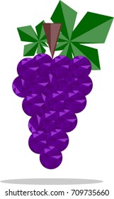 grape vector