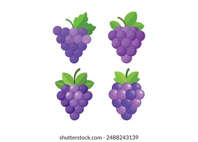 Grape Vector Art for Food and Beverage Branding