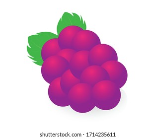 grape vector art icon design