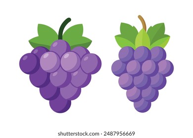 Grape Vector Art for Recipe Cards