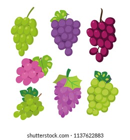 grape vector collection design
