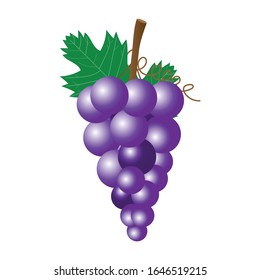 Grape Vector with dark purple gradient color and green leaf with brown stem.