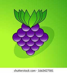 grape vector design for icon clip arts or business 