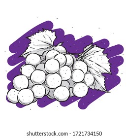 Weinvektor. Gravierte Bio-Lebensmittel handgezeichnet Skizze Gravitation Illustration. Trauben einzeln auf buntem Hintergrund.