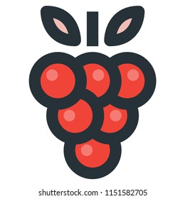 Grape Vector Filled Line Icon 32x32 Pixel Perfect. Editable 2 Pixel Stroke Weight. Colorful Medical Health Icon for Website Mobile App Presentation