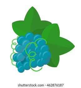 Grape vector in flat style design. Fresh fruit illustration for conceptual banners, icons, mobile app pictogram, infographic, and logotype element. Isolated on white background.