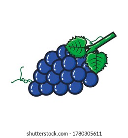 Grape Vector Fruit fresh clip art