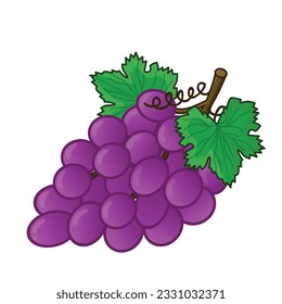Grape. grape vector. grapes vector icon cartoon. fresh grapes. fresh purple grape with leaf